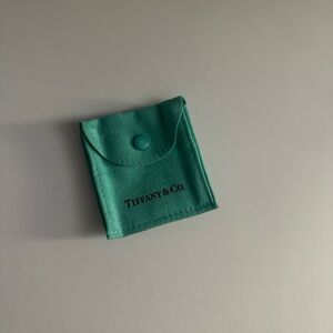 Tiffany & Co. Teal Jewelry Pouch